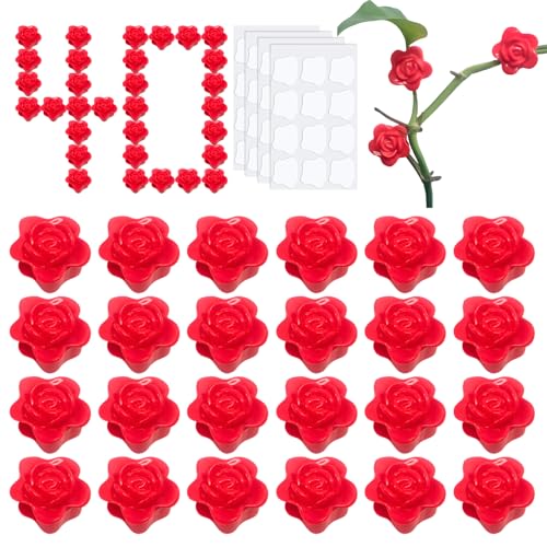 Theiuaoqwe 40 Stück Pflanzenclips Wand Pflanzenclips Pflanzenhalter Wand Pflanzen Clips Wand Pflanzenhalter Gartenarbeit Pflanzenclips Pflanzenhalter für Reben für Glaswände Plastikfliesenwände Theiuaoqwe 40 Stück Pflanzenclips Wand Pflanzenclips Pflanzenhalter Wand Pflanzen Clips Wand Pflanzenhalter Gartenarbeit Pflanzenclips Pflanzenhalter für Reben für Glaswände Plastikfliesenwände von Theiuaoqwe