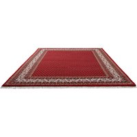 THEKO Orientteppich "Chandi Mir", rechteckig, 12 mm Höhe, reine Wolle, handgeknüpft, mit Fransen THEKO Orientteppich "Chandi Mir", rechteckig, 12 mm Höhe, reine Wolle, handgeknüpft, mit Fransen von Theko