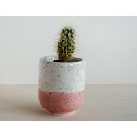 Pflanztopf - Specles Rouge Pink Handgefertigt Keramik von Thelittlefactoryshop