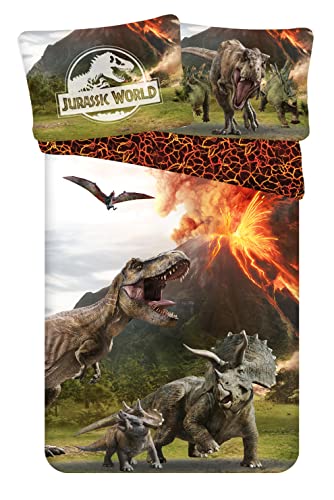 Theonoi Set 2 teilig Bettwäsche Bettbezug Wendebettwäsche 135x200 80x80 Baumwolle · Kinderbettwäsche Öko-Tex Standard Deutsche Standardgröße T-Rex Dinosaurier (Jurassic) von Theonoi