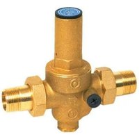 Druckminderer mit abnehmbaren Anschlüssen Doppeltes Außengewinde 2'. Druckminderer mit abnehmbaren Anschlüssen Doppeltes Außengewinde 2'. von Thermador