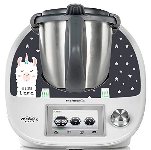 Thermodernizate Thermomix TM5 & TM6 Flamme von Thermodernizate.com