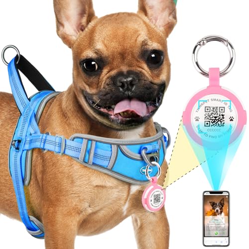 ThinkPet Hundegeschirr für große Hunde ohne Zug mit QR Code, AirTags Holder Smart ID Tags, verstellbar, reflektierend und atmungsaktiv, mit Front-Clip Griff für die Ausbildung S Hellblau ThinkPet Hundegeschirr für große Hunde ohne Zug mit QR Code, AirTags Holder Smart ID Tags, verstellbar, reflektierend und atmungsaktiv, mit Front-Clip Griff für die Ausbildung S Hellblau von ThinkPet