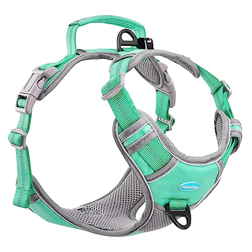 ThinkPet Anti Zug Hundegeschirr, Sportlich, Reflektierend, Atmungsaktiv, Gepolstert (XL, Blaugrün) von ThinkPet