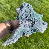 Blue Dragon Grape Achat von ThirdEyeRebel