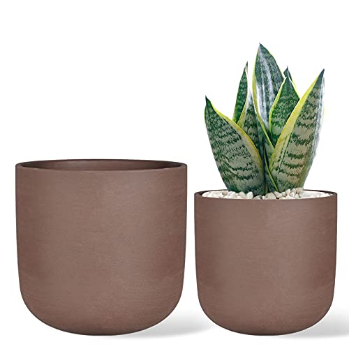 Thirtypot 12+15CM Terracotta Sukkulenten Pflanztöpfe Braun Runde Tontöpfe mit Drainage für Zimmerpflanzen 2er Set von Thirtypot