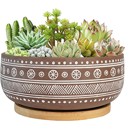 Thirtypot 20CM Terracotta Succulent Planter Pot with Drainage Hole and Bamboo Tray, Brown Round Shallow Bonsai Pot for Indoor Plants von Thirtypot