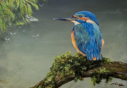 Tischset Eisvogel `Blaue Stunde` von Thomas Kubitz Fine Art