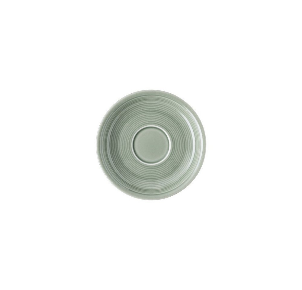 Thomas Porzellan Werkzeugbox Thomas Trend Colour Moss Green Kaffeeuntertasse Ø 14 cm (1 Kaffeeuntertasse) Thomas Porzellan Werkzeugbox Thomas Trend Colour Moss Green Kaffeeuntertasse Ø 14 cm (1 Kaffeeuntertasse) von Thomas Porzellan
