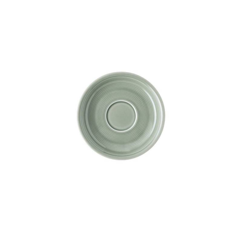 Thomas Porzellan Werkzeugbox Thomas Trend Colour Moss Green Kaffeeuntertasse Ø 14 cm (1 Kaffeeuntertasse) von Thomas Porzellan
