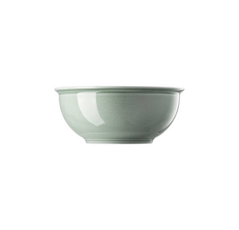 Thomas Porzellan Werkzeugbox Thomas Trend Colour Moss Green Schüssel Ø 22 cm (1 Schüssel) von Thomas Porzellan
