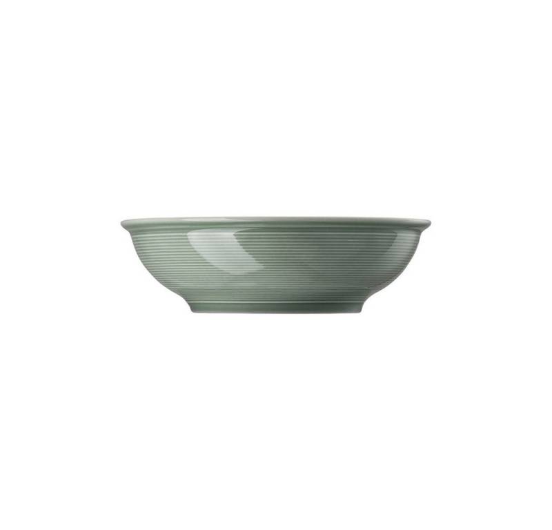 Thomas Porzellan Werkzeugbox Thomas Trend Colour Moss Green Schüssel flach Ø 32 cm (1 Schüssel) von Thomas Porzellan