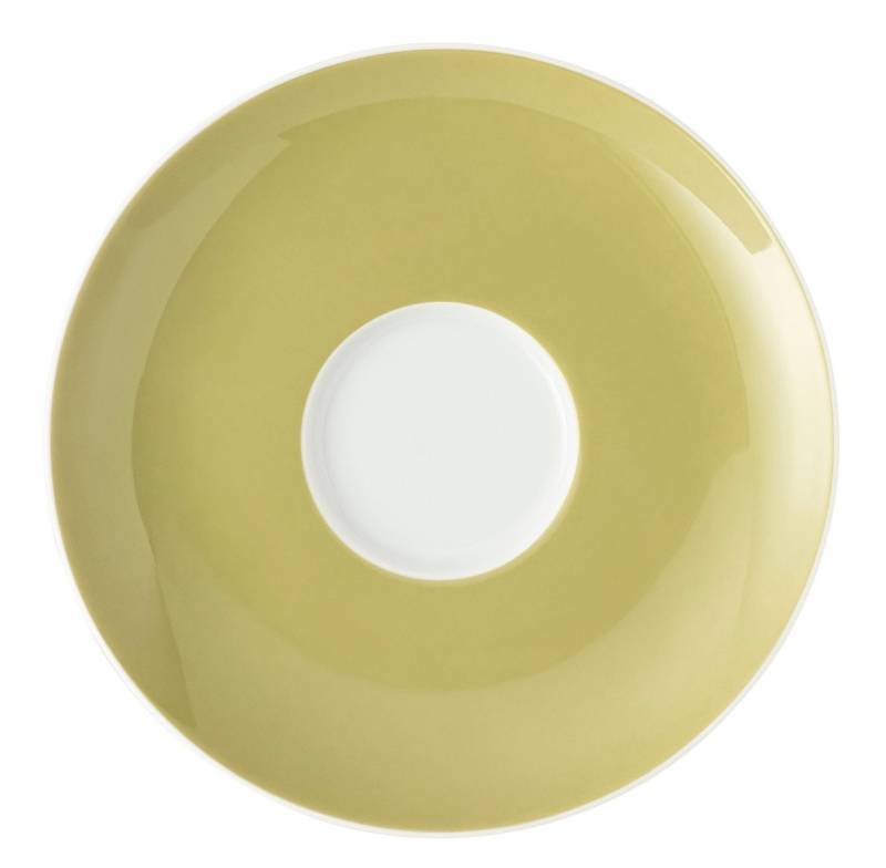 Thomas Porzellan Untertasse Sunny Day Avocado Green Kaffee-/Tee/Kombi-Untere, Untertasse von Thomas Porzellan