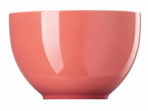 Thomas Sunny Day Soft Red Müslischale 12,2 cm - Porzellan Schale für Frühstück, Müsli Bowl, Dessertschale Rund, Tiefe Schüssel für Süßigkeiten, Spülmaschine, Mikrowelle, Höhe 8 cm, 0,45 l, rot von Thomas