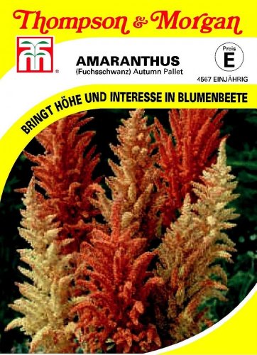 Fuchsschwanz (Amaranthus) Autumn Pallet von Thompson & Morgan [MHD 01/2018] von Thompson & Morgan