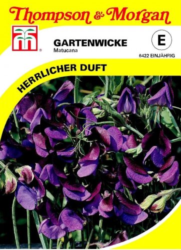 Gartenwicke Matucana von Thompson & Morgan von Thompson & Morgan