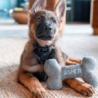 Personalisierte Hundeknochen Spielzeug Gestickte Wollmischung Quietschtier Personalisierte Hundeknochen Spielzeug Gestickte Wollmischung Quietschtier von ThreadandPawCo