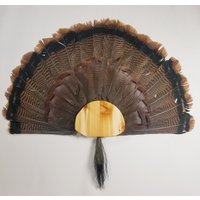 Truthahnfächer Montage Kit Cedar Truthahnfächer Montage Kit Cedar von ThuliDesign