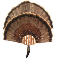 Türkei Fan Montage Kit 1 Bis 2 Display Rustikale Zinn Türkei Fan Montage Kit 1 Bis 2 Display Rustikale Zinn von ThuliDesign