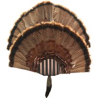 Türkei Fan Montage Kit 1 Bis 2 Display | Schwarz Türkei Fan Montage Kit 1 Bis 2 Display | Schwarz von ThuliDesign