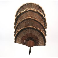 Türkei Fan Montage Kit 4 Fans Display Kupfer Türkei Fan Montage Kit 4 Fans Display Kupfer von ThuliDesign