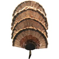 Black Türkei Fan Display Kit - Für 1 Bis 4 Fans, Barttülle Black Türkei Fan Display Kit - Für 1 Bis 4 Fans, Barttülle von ThuliDesign