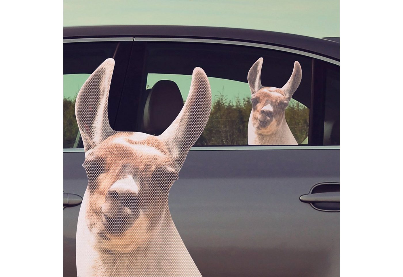 Fenstersticker Ride With Llama - Fenstersticker Lama", Thumbs Up" von Thumbs Up