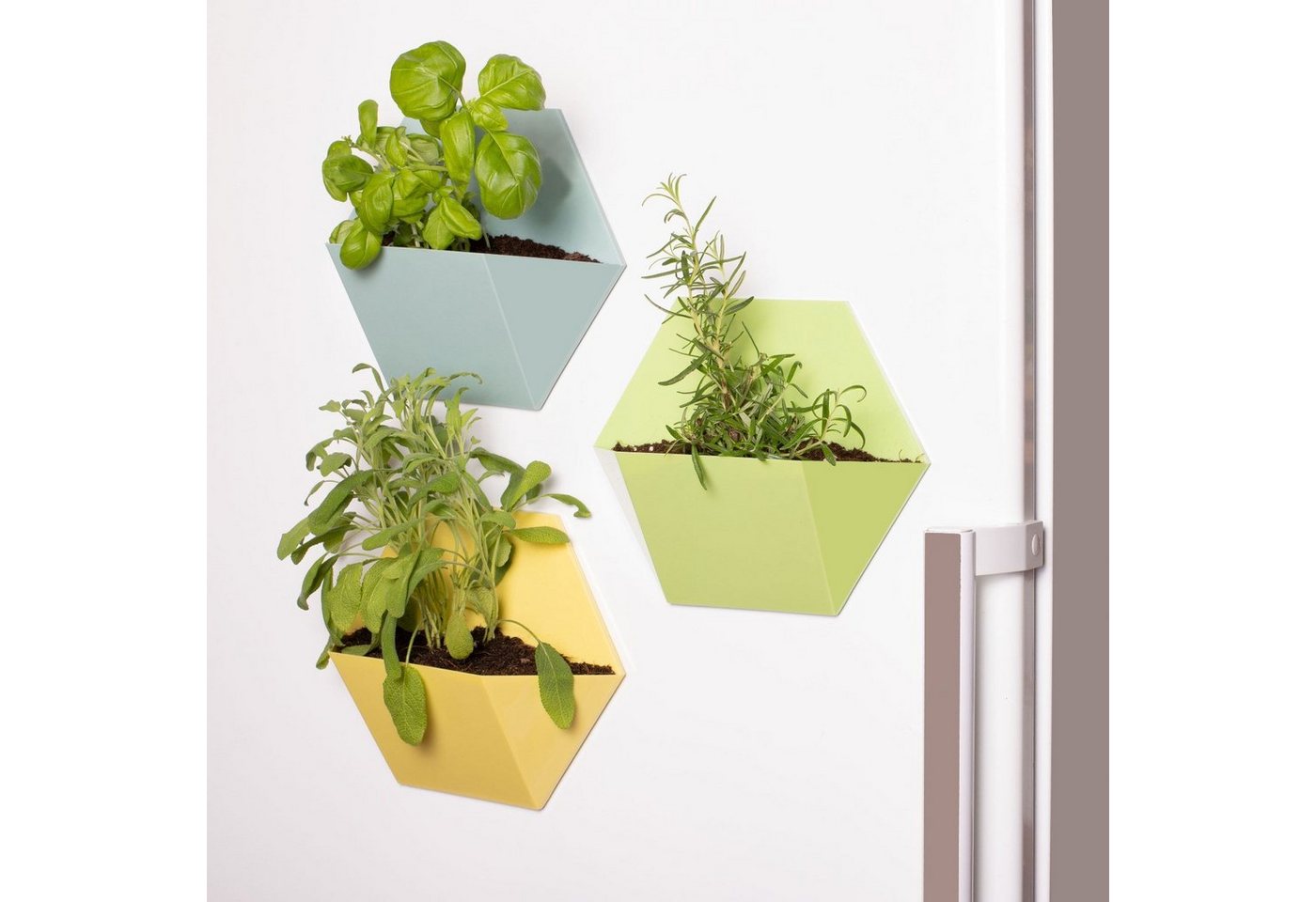 Thumbs Up Blumentopf Magnetische Blumentöpfe (3er Set) - Magnetic Plant Pots, Magnetisch von Thumbs Up