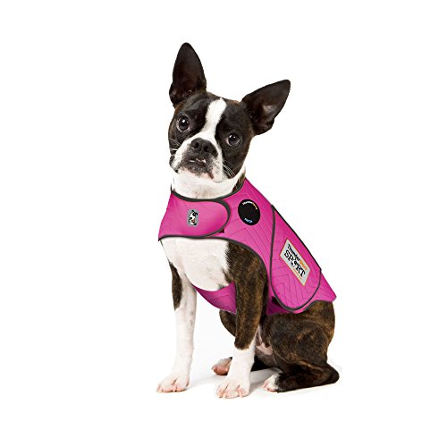 Thundershirt Hundebekleidung Thundershirt Hunde-Angstjacke, Fuchsia, Größe XS von Thundershirt