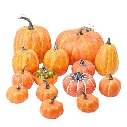 Thuro 14 Größen Künstliche Kürbisdekoration,Sortierte künstliches kürbisse Set,Halloween Herbstdeko Fälschung Kürbis für Halloween Erntedankfest Dekoration Thuro 14 Größen Künstliche Kürbisdekoration,Sortierte künstliches kürbisse Set,Halloween Herbstdeko Fälschung Kürbis für Halloween Erntedankfest Dekoration von Thuro