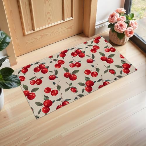 Ti Caldi Fresh Red Cherry Fußmatte für den Innenbereich, 75 x 43 cm, Willkommens-Fußmatten aus Vliesstoff mit grünem Blatt für Eingang, Küche, Schlafzimmer, rutschfeste Vlies-Bodenmatte für Ti Caldi Fresh Red Cherry Fußmatte für den Innenbereich, 75 x 43 cm, Willkommens-Fußmatten aus Vliesstoff mit grünem Blatt für Eingang, Küche, Schlafzimmer, rutschfeste Vlies-Bodenmatte für von Ti Caldi
