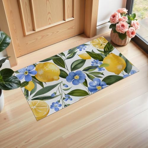 Ti Caldi Fußmatte für den Innenbereich, Blumenmuster, 75 x 43 cm, Willkommens-Vliesstoff, Blumen-Fußmatten für Eingang, Küche, Schlafzimmer, rutschfeste Vlies-Bodenmatte für Heimdekoration, Geschenke Ti Caldi Fußmatte für den Innenbereich, Blumenmuster, 75 x 43 cm, Willkommens-Vliesstoff, Blumen-Fußmatten für Eingang, Küche, Schlafzimmer, rutschfeste Vlies-Bodenmatte für Heimdekoration, Geschenke von Ti Caldi