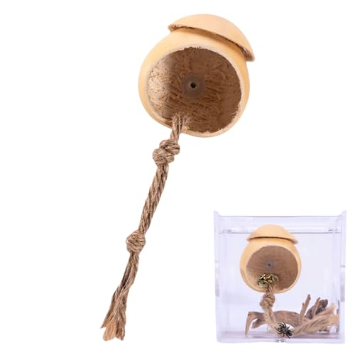 Tiajingzi Springspinnen Terrarium | Handgefertigtes Holzhaus Für Springspinnen Als Echtes Versteck | Holz Reptilien Zubehör in Kürbisform Terrarium Dekoration für Grillen Geckos und Eidechsen von Tiajingzi