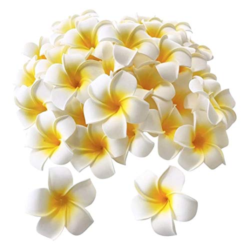 Tiamu 100Pcs Hawaii Frangipani Schaumstoff Haar Clips, Künstliche Frangipani Plumeria Haarspange, DIY Frangipani Hawaii Haarklammer Frangipani Kränze für Hochzeits Hawaiische Beach Party Tiamu 100Pcs Hawaii Frangipani Schaumstoff Haar Clips, Künstliche Frangipani Plumeria Haarspange, DIY Frangipani Hawaii Haarklammer Frangipani Kränze für Hochzeits Hawaiische Beach Party von Tiamu