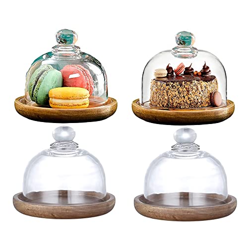 Tiamu 4 Pack Mini Tortenplatte mit Deckel, Kuchenglocke Glas, Klein Käseglocke, Tortenständer Büfett Servierplatte für Torten, Desserts & Früchte, Kuchenplatte für Hochzeit,Party,Café (10.5cm x 9.5cm) von Tiamu