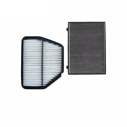 Passend for Chevrolet Captiva Opel Antara 2007–2011 2012–2019 OEM 96628890 96440878 Kabinenluftfilter(2 Pcs Filter Set) von Tianwu03
