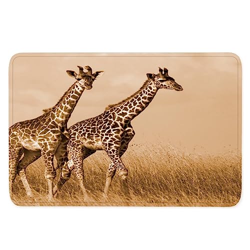 Fußmatte 50x80 Giraffe Fussmatte Hereinspaziert SchmutzFangmatte waschbar rutschfest Fußabtreter Flanell den Aussenbereich Tiere Natur Kawaii Haustür Innenbereich Türmatte von TiaoTian