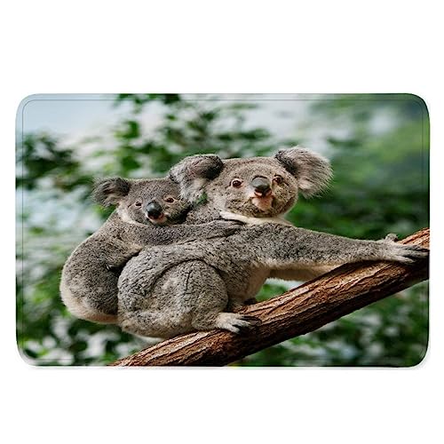 Fußmatte 60x90 Koala Waschbar Fussmatte innen rutschfeste Schmutzfangmatte Türmatte Eingang Teppich 3D Druck Design Tiere Kawaii Natur Flanell fußmatte für Haustür Innen von TiaoTian