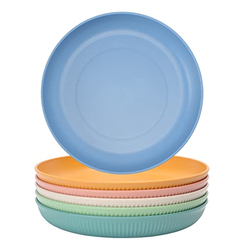 6 Stück Speiseteller Set Teller Picknickteller Camping Teller Essteller Unzerbrechlich Dinner Plates Wiederverwendbar Kunststoffteller Anti-Fallen Spülmaschinenfest 22.5cm 6 Farben von Ticeed