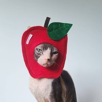 Apfel Haustierkostüm Für Halloween Zurück Zu Schule Gärtner Kleine Haustiere Hunde Katzen Aus Leichtem Filz Tiktok Instagram Foto Requisite von Ticketybootique