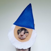 Gartenzwerg Kostüm Hut Für Katzen Kleine Hunde Und Haustiere in Leichtem Weichem Filz von Ticketybootique