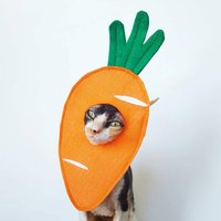 Karotte Kostüm Für Katzen Kleiner Hund Oder Kleines Haustier Aus Weichem Orangefarbenen Filz Halloween Frühling Ostern von Ticketybootique