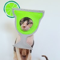 Margarita Getränk Kostüm Hut Cinco De Mayo Für Katzen Kleine Hunde Und Haustiere Aus Leichtem Weichem Filz Tequila Limette von Ticketybootique