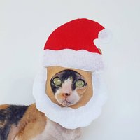 Weihnachtsmann Kostüm Für Katzen, Hunde Und Kleine Haustiere Aus Weichem Filz Feiertage Weihnachten von Ticketybootique