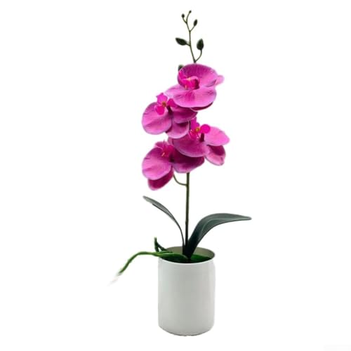 Künstliche Phalaenopsis Orchidee Bonsai Pflanze mit lebensechtem Aussehen, dekorative künstliche Topfpflanze geeignet für Zuhause, Büro, Schreibtisch oder Tischdekoration (lila) von Tidevib