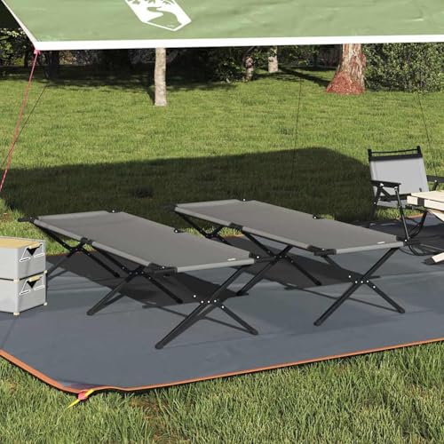 2er Set Klappbare Sonnenliegen mit Tragetasche Grau 600D Oxfordgewebe, Gartenliegestuhl Strandliege Relaxliege für Strand Garten Terrasse Camping42003195 von Tidyard