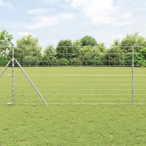 Feldzaun 1.2x50 m Galvanisierter Stahl, Sechseckgeflecht Netz zum Schutz von Gartenpflanzen Gemüse Blumen Früchten42005840 von Tidyard