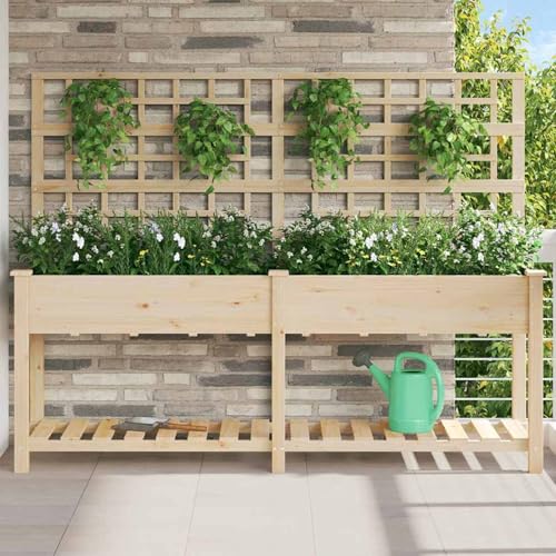 Gartenpflanzer mit Spalier und Regal 203x53x152 cm aus massivem Kiefernholz, Hochbeet Blumentopf Außen Pflanzgefäße für Garten Blumen Gemüse42006573 von Tidyard