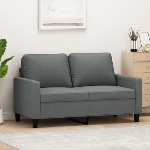 Tidyard 2 Sitzer Sofa Couch Loungesofa Polstersofa 2 Sitzer Sessel Stoffsofa Gästesofa Wohnzimmersofa Clubsofa Sitzmöbel für Wohnzimmer Schlafzimmer Büro Dunkelgrau 120 cm Stoff von Tidyard