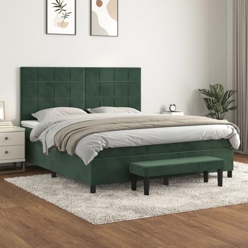 Tidyard Boxspringbett mit Matratze Dunkelgr¨¹n 180x200 cm Samt von Tidyard